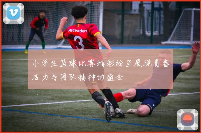 小学生篮球比赛精彩纷呈展现青春活力与团队精神的盛会